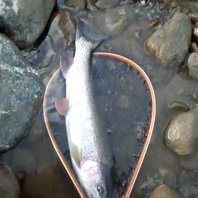 はじめまして！の画像