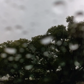 今日は、一日雨、、の画像