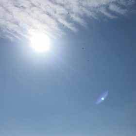 明日、日曜日お休みです！の画像