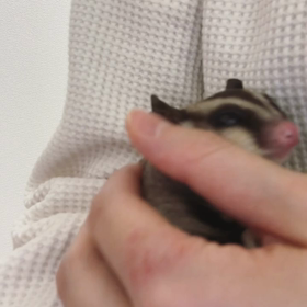 うなずいてるよね〜の画像