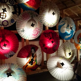 山鹿 百華百彩始まりました。の画像