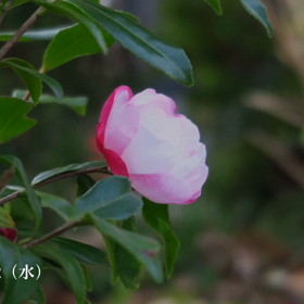 ☘️☕️☘️本日もお疲れ様でした☘️☕️☘️の画像