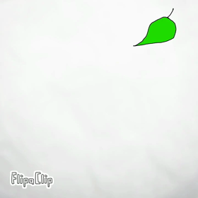 新しい携帯での画像