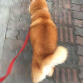 バタバタだった1日。の画像