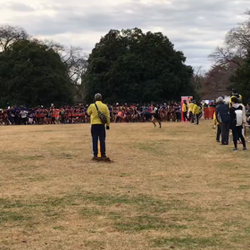 狭山クロカンその４の画像