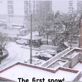初雪の画像