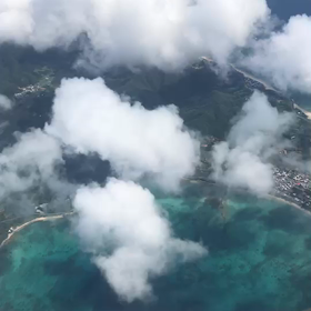 10/10☆旦那さん奄美へ！の画像