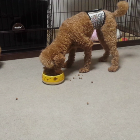 美味しい☆の画像