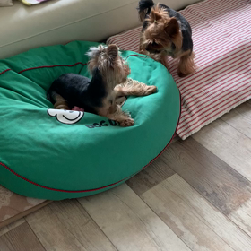 しつこい〜の画像