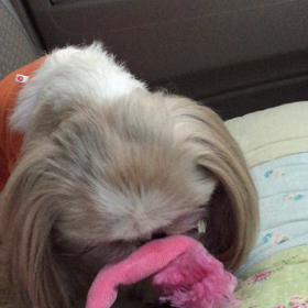 あー♪楽しい〜♪の画像