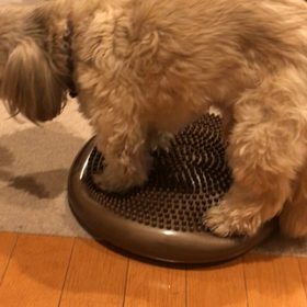 じい様運動中の画像