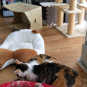 暖かいポジション取りバトル勃発！！の画像