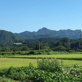 田舎の夏の画像