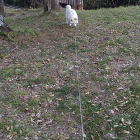 素敵な音色〜♫の画像