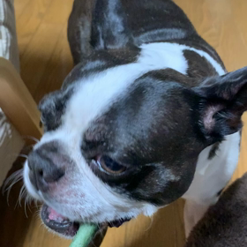 忙しさの原因の画像