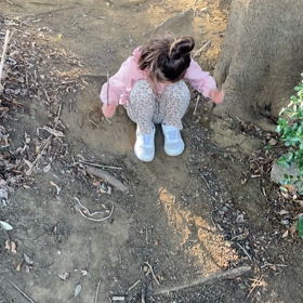 どんぐりスキーの画像