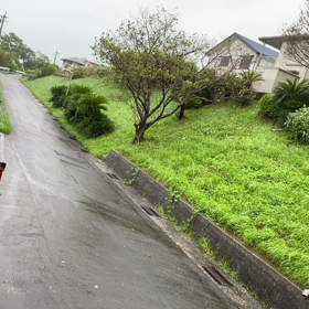 台風が来ました…の画像