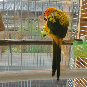 カレンの副食の画像