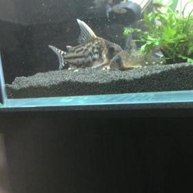 寒いですねの画像