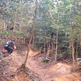 昨日の話の画像