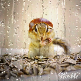 雨にも負けない！手作りヘルメット♪の画像