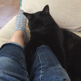 お昼寝まくらの画像