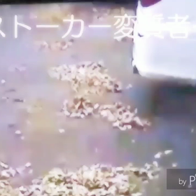 我が社のストーカー変質者の画像