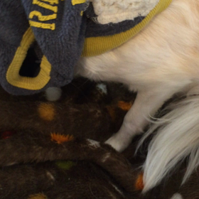 帰りたくない俺の画像