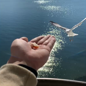 体調不良の原因の画像