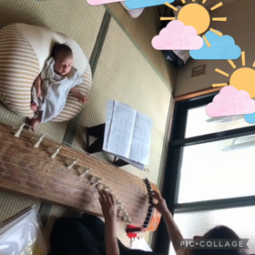 お箏が好きかなぁ〜？③の画像