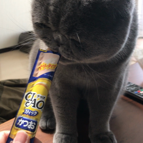 ご褒美チュールの画像