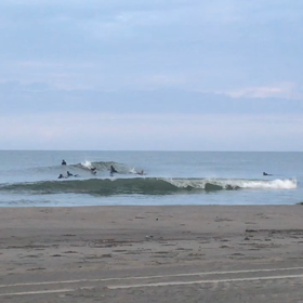 今朝の波乗りから動画  その1の画像