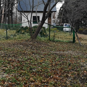 出したい時に出せる幸せの画像