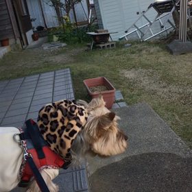 なんだかんだ。。の画像