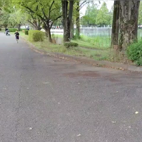 ミニ駅伝（中間点付近）⑦の画像