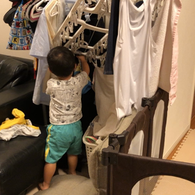 お手伝い〜洗濯物を取る〜の画像