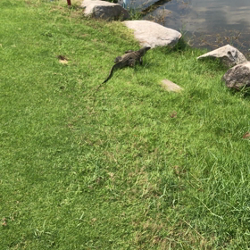 バンコクゴルフ その2の画像