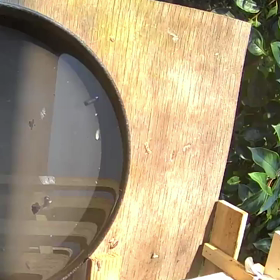 すぎぴたんの事件簿シーズン2　339話（ヨガ教室のシジュウカラ）の画像