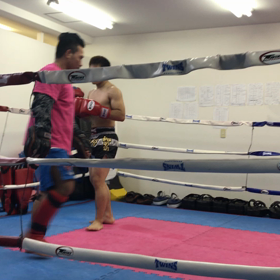今日はキックボクシングジムで大学生と！の画像