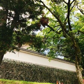 日本一ストレスフリーな愛媛県♡の画像