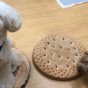 やっと理解して頂けたか。の画像