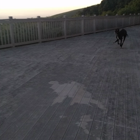 今日もげんきです。の画像