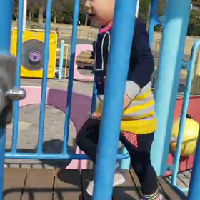 午後は公園へ♪の画像