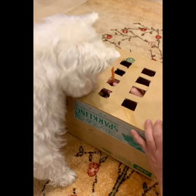 わんこもぐらたたきの画像