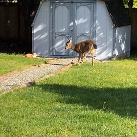 どんどん登っていきますの画像