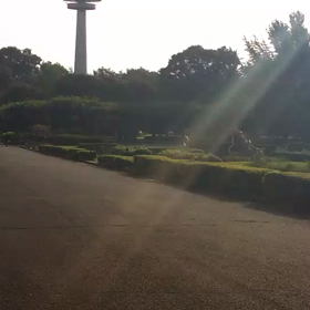 男子選考会ゴール付近⑧の画像