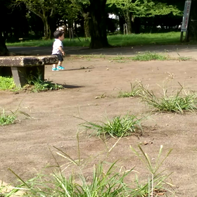 欽ちゃん走り風かいとん。の画像