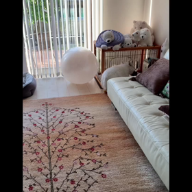 お口拭いてーの画像