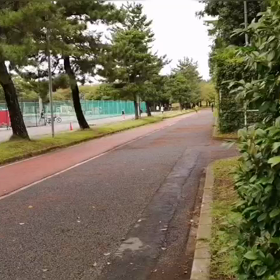 選考会 ゴール付近(男子)⑩の画像