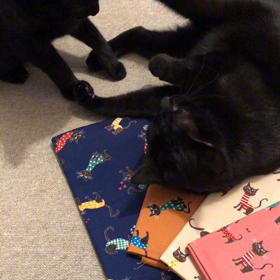 黒猫大乱闘の巻の画像